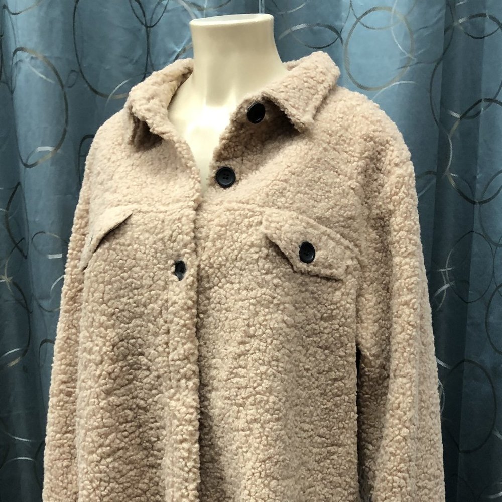 Teddy Bear Button Down